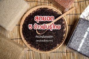 500share