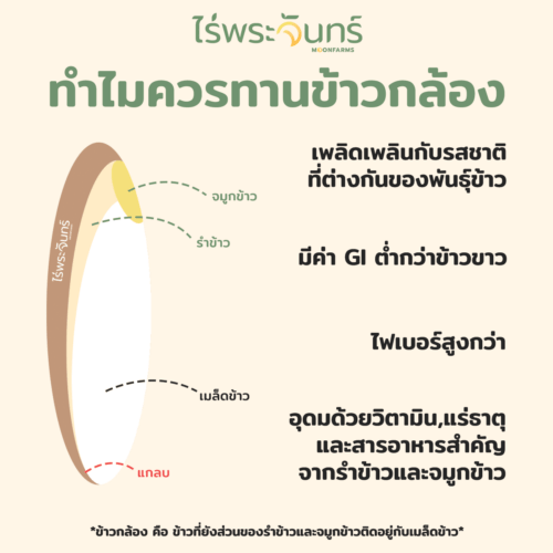 จมูกข้าวหอมมะลิแดง - Image 4