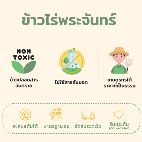 ข้าวเหนียวดำ - Image 2