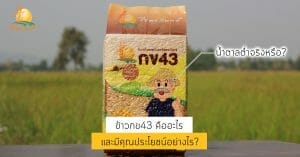 ข้าวกล้องกข43 ข้าวกข43 ข้าวกล้อง กข43 Brown Rice ไร่พระจันทร์ RD43 ข้าวเพื่อสุขภาพ ข้าวปลอดสารเคมี ข้าวกล้องกข43 คืออะไร หุงยังไง มีประโยชน์