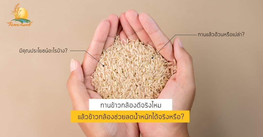 ทานข้าวกล้องดีจริงไหม แล้วข้าวกล้องช่วยลดน้ำหนักได้จริงหรือ ? 2 ทานข้าวกล้องดีจริงไหม แล้วข้าวกล้องช่วยลดน้ำหนักได้จริงหรือ ?