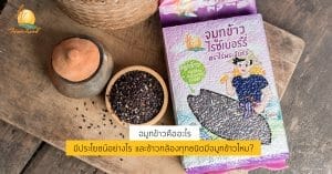 จมูกข้าวคืออะไร