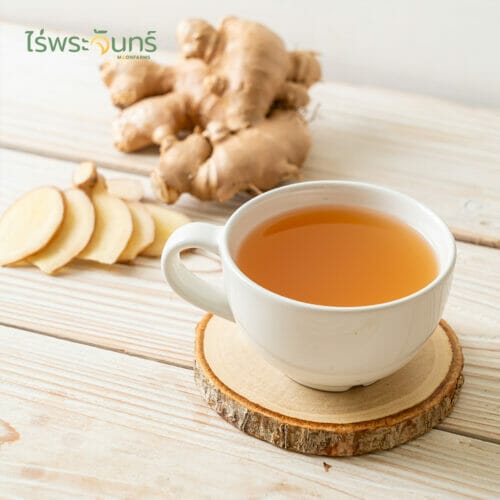 Instant Ginger Powder ผงขิงสกัด 100% สำเร็จรูปพร้อมดื่ม ขิงผงสกัด100% ขิงสกัด ขิงผง Ginger Powder ขิงผงบด ขิงสกัดผง ขิงสำเร็จรูป น้ำขิง น้ำขิงสำเร็จรูป