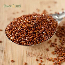 ควินัว ควินัวแดง ควินัวสีแดง คินัว คินัวแดง คีนัว คีนัวแดง quinoa red thailand quinoa thai