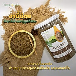 งาขี้ม่อน งาขี้ม้อน perilla seed งาขี้ม่อน งาขี้ม่อน งาขี้ม้อน Perilla seed เมล็ดงา เมล็ดงานขี้ม่อน เมล็ดงาขี้ม้อน