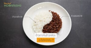 ข้าวขาวกับข้าวกล้อง อะไรดีกว่ากัน