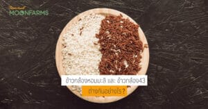 ข้าวกล้องหอมมะลิ และ ข้าวกล้อง43 ต่างกันอย่างไร
