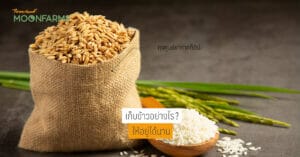 เก็บข้าวให้อยู่นาน