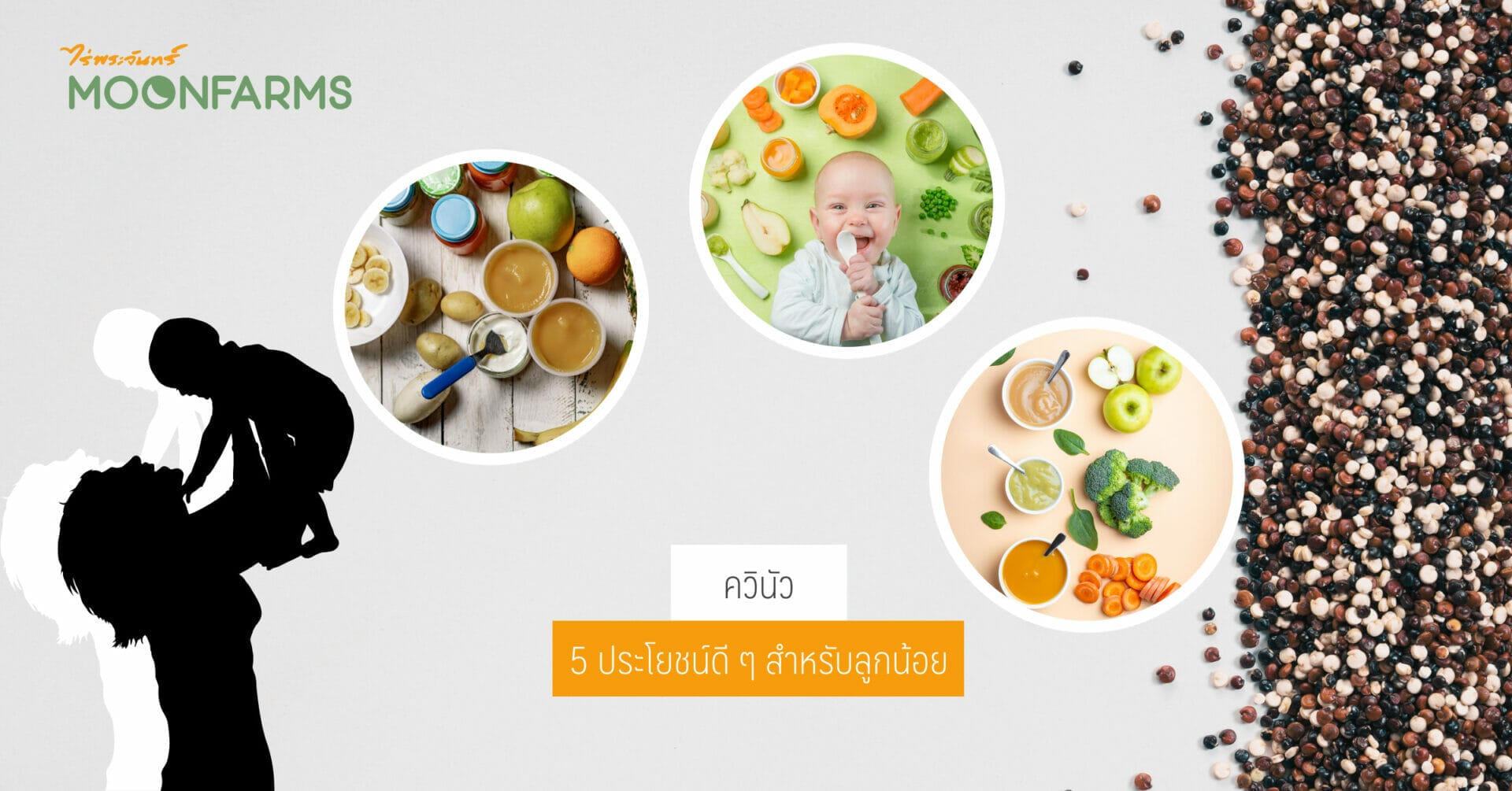 5 ประโยชน์ควินัวสำหรับลูกน้อย 1 5 ควินัวประโยชน์ดี ๆ สำหรับลูกน้อย