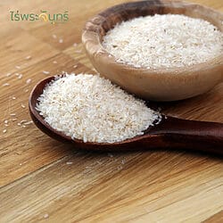 ไซเลี่ยมฮัสค์ ไซเลี่ยม ฮัสค์ ไซเลี่ยมฮัค ไซเลี่ยมฮัส ไซเลี่ยมฮัคส์ Psyllium husk syliam Psyllium hask