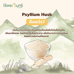 ไซเลี่ยมฮัสค์ ไซเลี่ยม ฮัสค์ ไซเลี่ยมฮัค ไซเลี่ยมฮัส ไซเลี่ยมฮัคส์ Psyllium husk syliam Psyllium hask