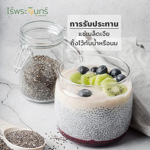 เมล็ดเจีย Chia seed