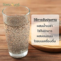 เมล็ดเจีย Chia seed