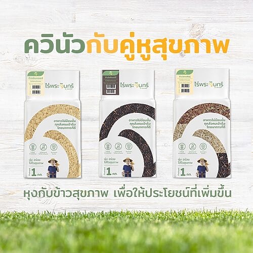 ควินัว3สี - Image 8