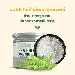ผงโปรตีนถั่วลันเตา4 1
