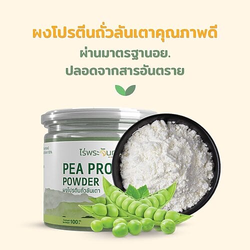 ผงโปรตีนจากถั่วลันเตา - Image 6