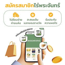 งาขาวคั่ว 14 สมัคร