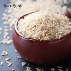 ข้าวกล้องหอมมะลิ 16 ข้าวกล้อง ข้าวกล้องหอมมะลิ ข้าวกล้องทานง่าย