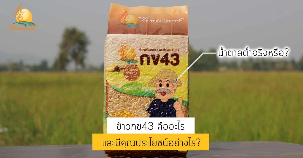 ข้าวกข43 คืออะไร มีประโยชน์อย่างไร 1 ข้าวกล้องกข43 ข้าวกข43 ข้าวกล้อง กข43 Brown Rice ไร่พระจันทร์ RD43 ข้าวเพื่อสุขภาพ ข้าวปลอดสารเคมี ข้าวกล้องกข43 คืออะไร หุงยังไง มีประโยชน์