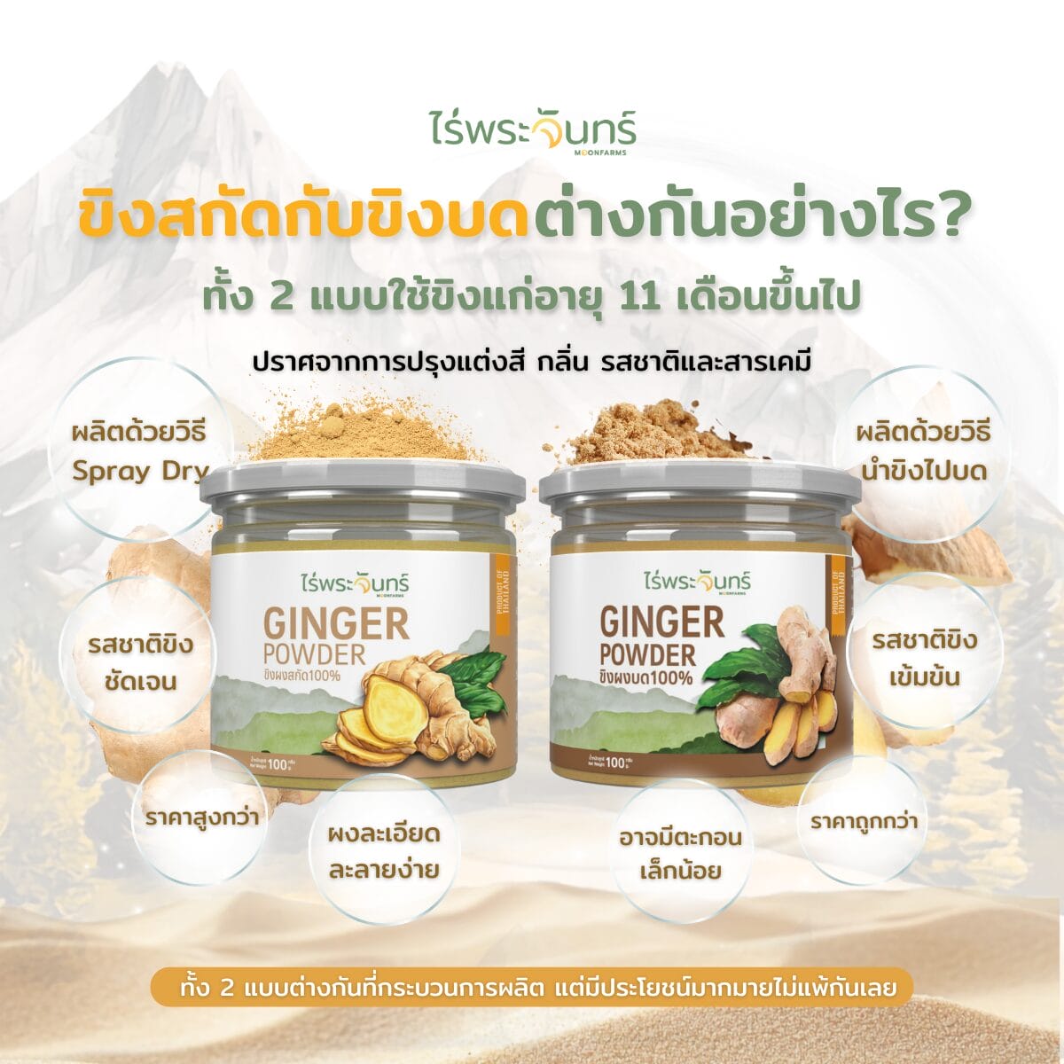 แสตมป์ ความรู้สู่การขาย ผงขิงบดกับขิงสกั