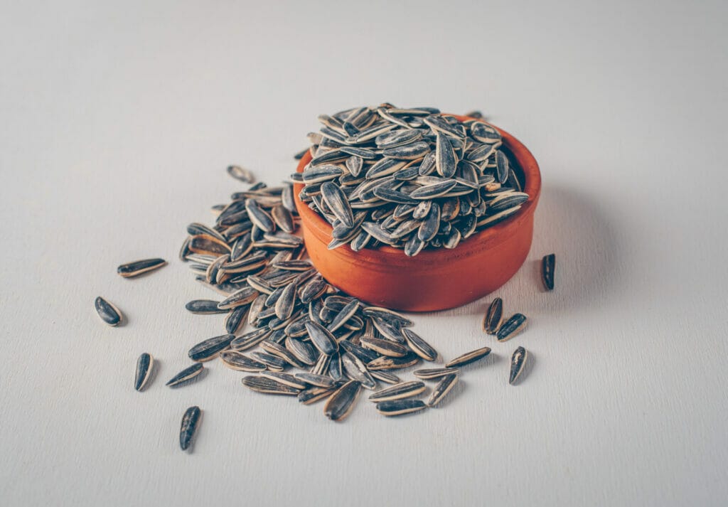 เปิดประโยชน์จากโปรตีนพืช 6 ชนิด 8 black sunflower seeds bowl white background high angle view