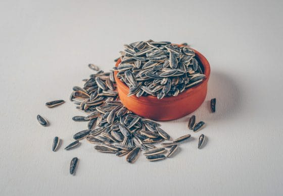 black sunflower seeds bowl white background high angle view