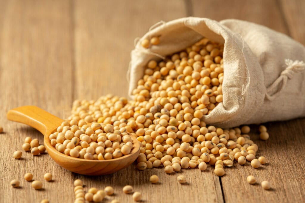 เปิดประโยชน์จากโปรตีนพืช 6 ชนิด 5 soybean sauce soybean wooden floor soy sauce food nutrition concept