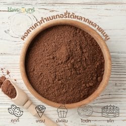 ผงคาเคา Cacao powder คาเคาผง คาเคา โกโก้ Cocoa