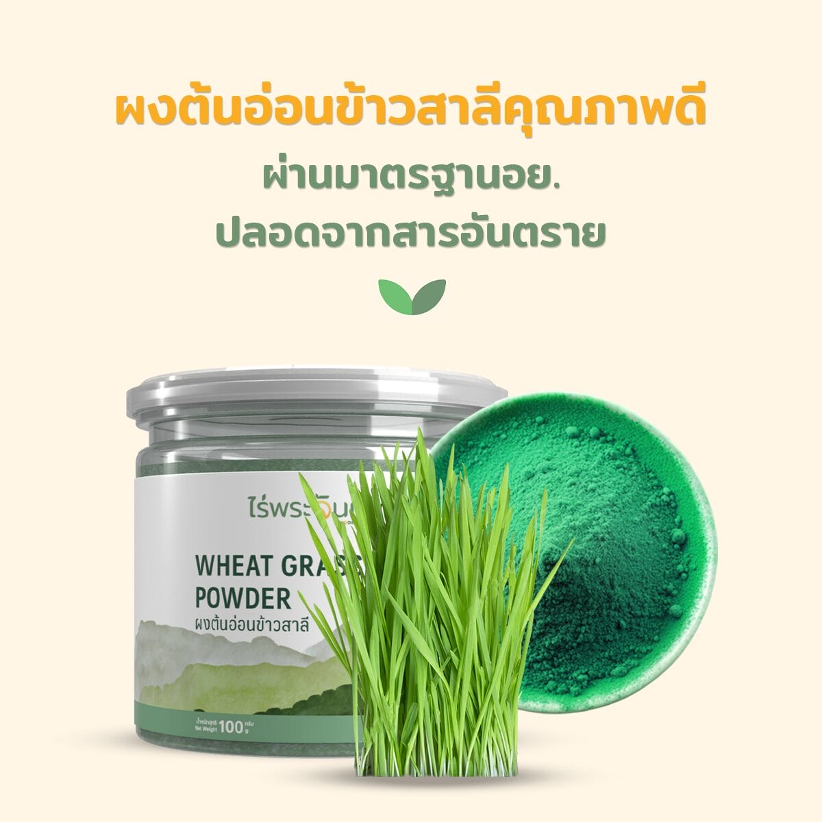 ผงต้นอ่อนข้าวสาลี ผงข้าวสาลีอ่อน Wheatgrass Powder ผงต้นอ่อนข้าวสาลีเพื่อสุขภาพ วิธีชงผงต้นอ่อนข้าวสาลี ประโยชน์ของผงต้นอ่อนข้าวสาลี ผงต้นอ่อนข้าวสาลีสำหรับดีท็อกซ์ ผงข้าวสาลีอ่อนเสริมสุขภาพ ผงต้นอ่อนข้าวสาลีออร์แกนิค ผงต้นอ่อนข้าวสาลีในสมูทตี้ วิธีใช้ผงต้นอ่อนข้าวสาลีในอาหาร ผงข้าวสาลีอ่อนบำรุงร่างกาย ผงต้นอ่อนข้าวสาลีคลอโรฟิลล์สูง เสริมพลังด้วยผงต้นอ่อนข้าวสาลี ผงข้าวสาลี ผงสาลี ผงข้าวอ่อน