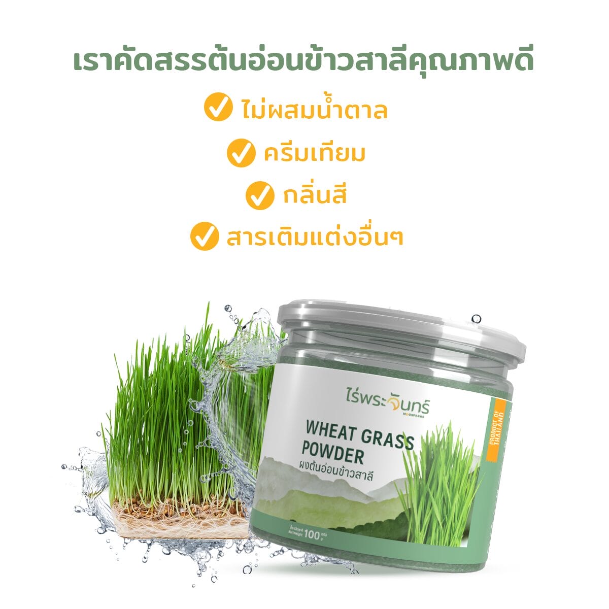 ผงต้นอ่อนข้าวสาลี ผงข้าวสาลีอ่อน Wheatgrass Powder ผงต้นอ่อนข้าวสาลีเพื่อสุขภาพ วิธีชงผงต้นอ่อนข้าวสาลี ประโยชน์ของผงต้นอ่อนข้าวสาลี ผงต้นอ่อนข้าวสาลีสำหรับดีท็อกซ์ ผงข้าวสาลีอ่อนเสริมสุขภาพ ผงต้นอ่อนข้าวสาลีออร์แกนิค ผงต้นอ่อนข้าวสาลีในสมูทตี้ วิธีใช้ผงต้นอ่อนข้าวสาลีในอาหาร ผงข้าวสาลีอ่อนบำรุงร่างกาย ผงต้นอ่อนข้าวสาลีคลอโรฟิลล์สูง เสริมพลังด้วยผงต้นอ่อนข้าวสาลี ผงข้าวสาลี ผงสาลี ผงข้าวอ่อน