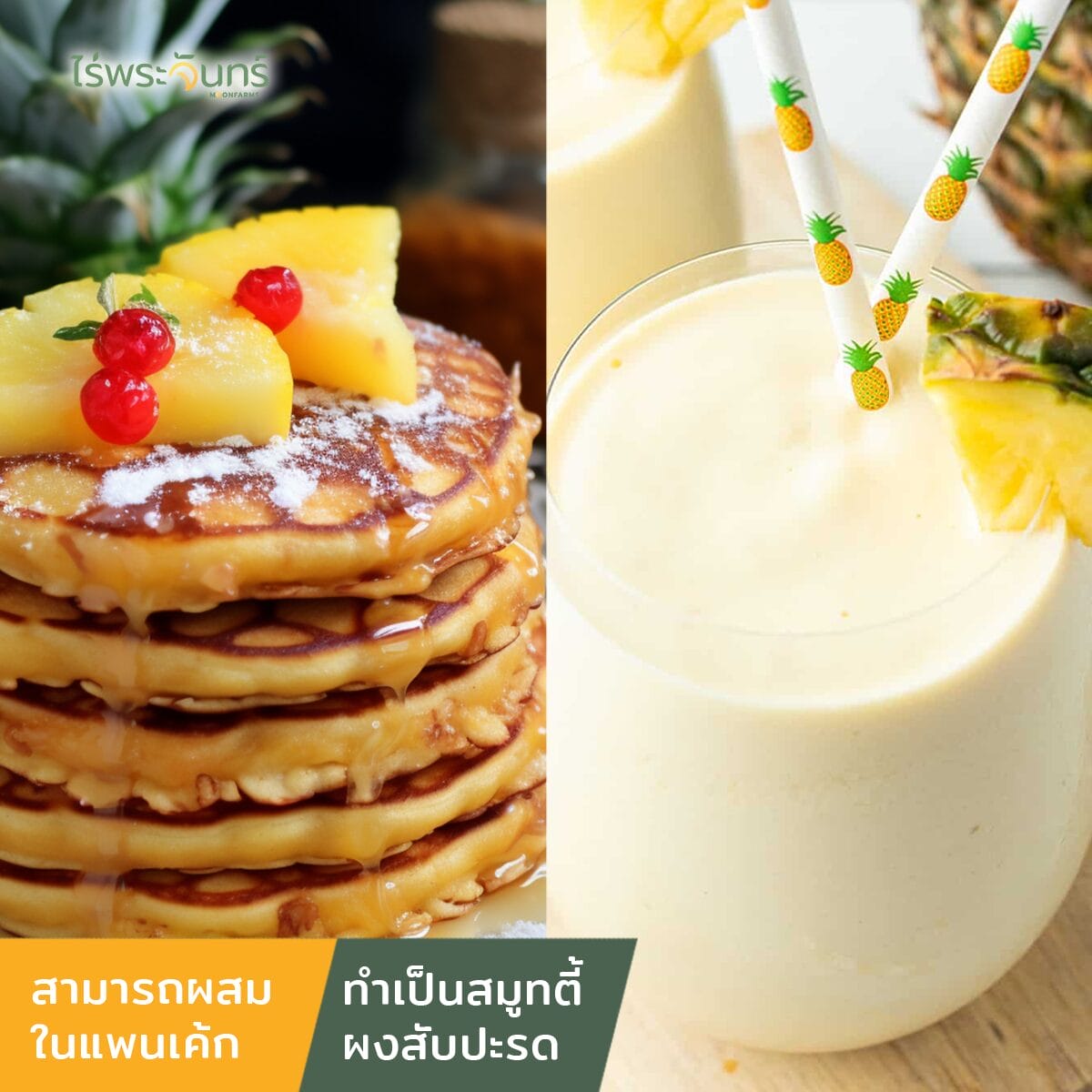 Pineapple Powder ผงสับปะรด PINEAPPLE EXTRACT POWDER 100% สารสกัด