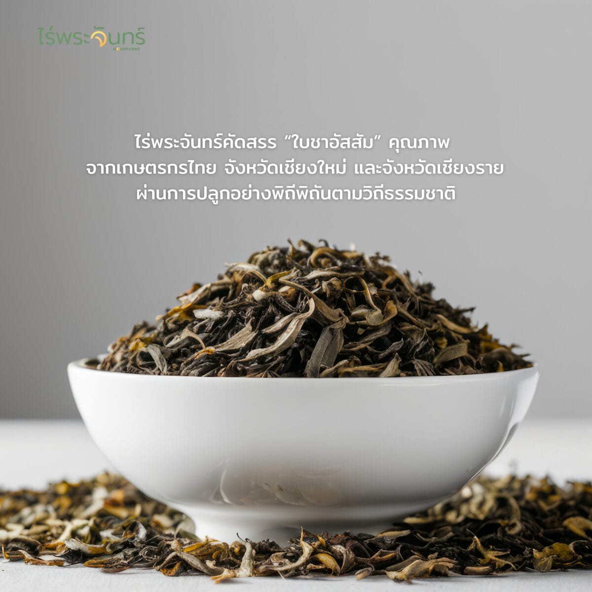 ชา2