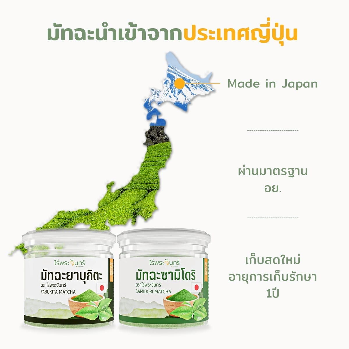 มัทฉะ4